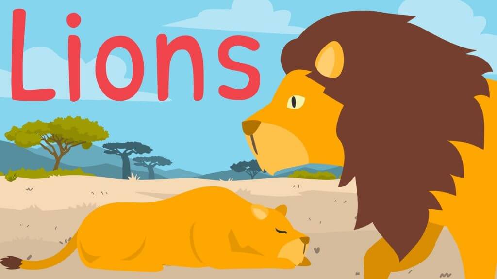 Lion Facts for Kids - Silly School Education Youtube