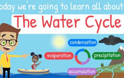 The Water Cycle Tutorial – NEW – Only on Silly School Education TV