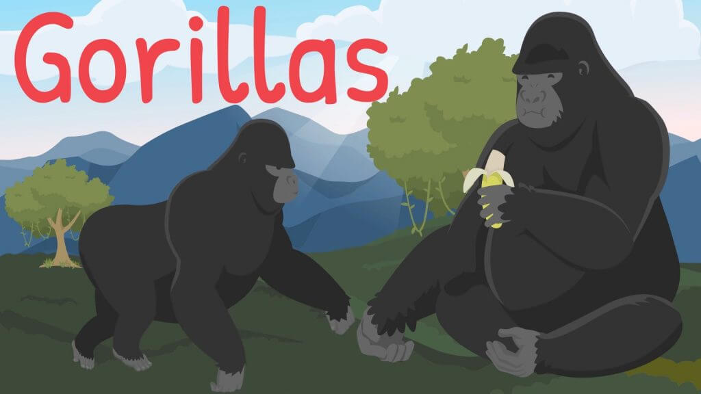 Gorilla Facts for Kids