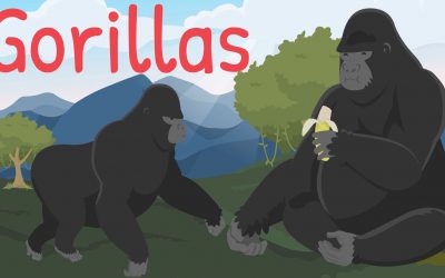 Gorilla Facts for Kids – NEW – Youtube.