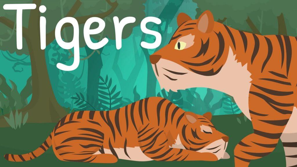 tiger facts for kids