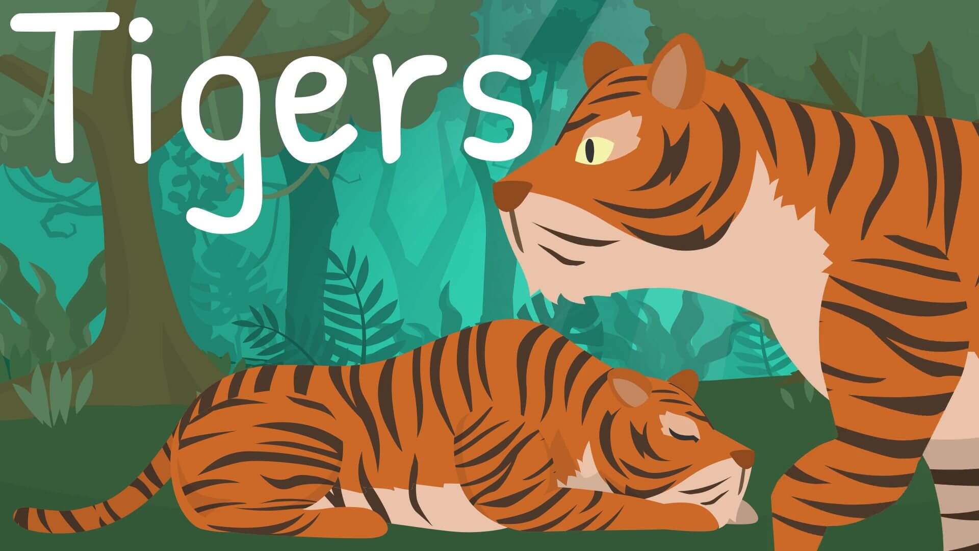 Tiger Facts for Kids  Classroom Learning Video 